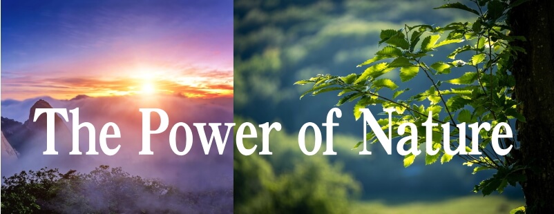The Power of Nature